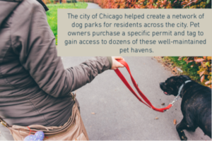A person walking their dog down a sidewalk. A caption reads "The city of Chicago helped create a network of dog parks for residents across the city. Pet owners purchase a specific permit and tag to gain access to dozens of these well-maintained pet havens."