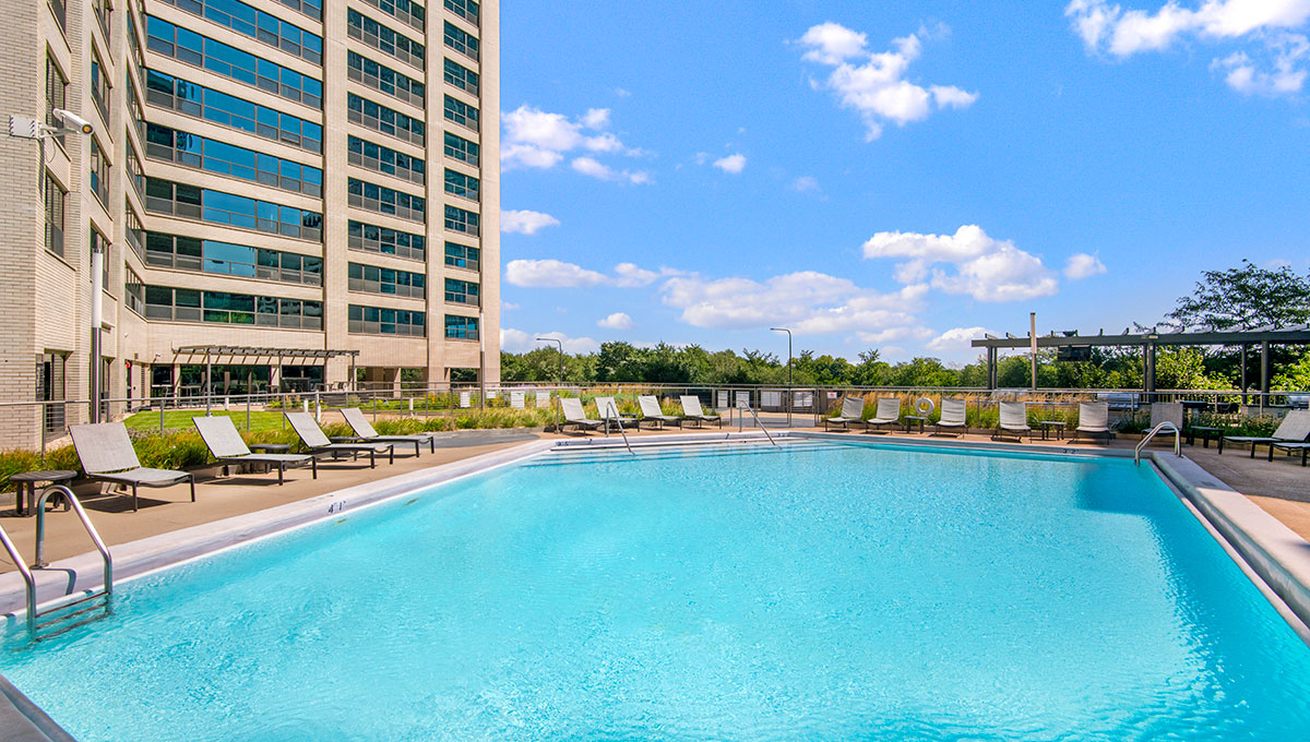 Looking across the blue water of the outdoor pool on Eleven Thirty's sundeck. The building rises in the background on the left. Ahead the sky is blue and the treetops of Grant Park can be seen beyond the edge of the deck.