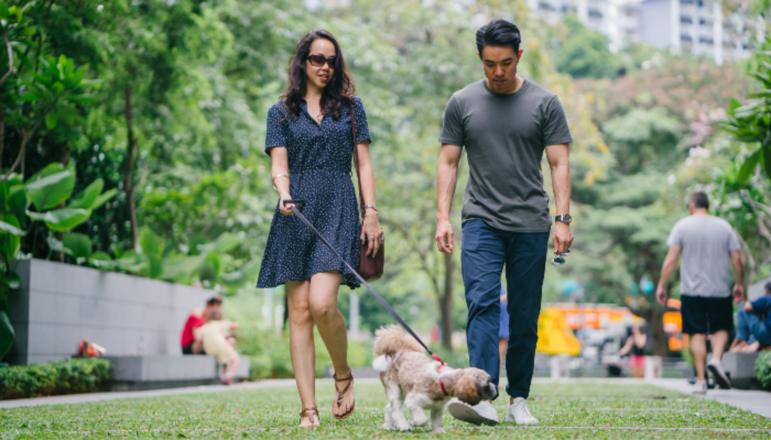 A couple walks their dog through a park with trees and flowers in the background.