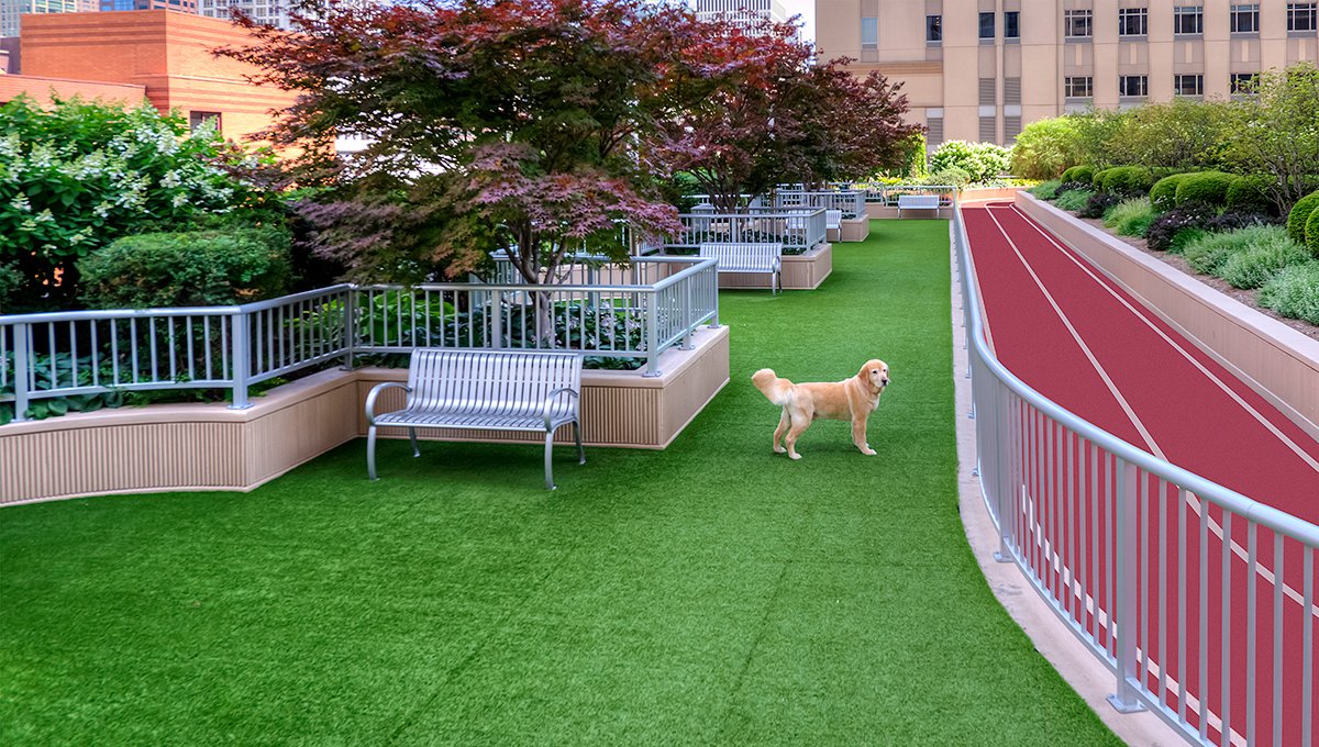 An outdoor dog park with running track beside it on the amenity deck at Grand Plaza. The park is AstroTurf with benches and trees, the running track is two lanes with a red surface. A golden retriever dog stands in the middle of the park.