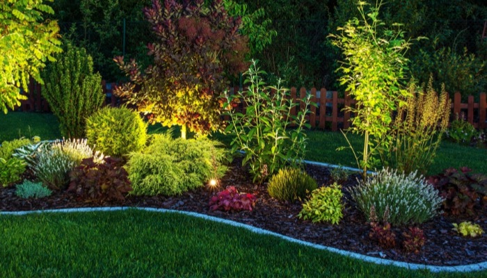 A well kept garden bed of various plants and shrubs.