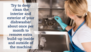 A woman in an apron and cleaning gloves performs maintenance on her dishwasher. A quote on the image reads, "Try to deep clean the interior and exterior of your dishwasher about once per month to remove extra build-up inside and outside of the machine."