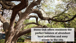 An old tree in Texas with a quote overlayed that reads, "Stone Oak offers residents the perfect balance of abundant local activities and easy access to the city.""
