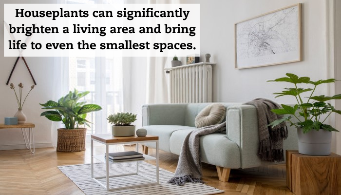 A living with several green plants displayed around. There is a couch and coffee table and a quote that reads, "houseplants can significantly brighten a living area and bring life to even the smallest spaces."