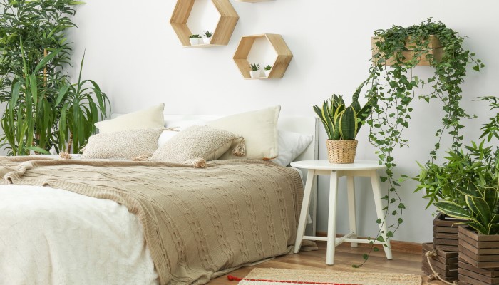 The stylish interior of a bedroom with green houseplants set around the room.