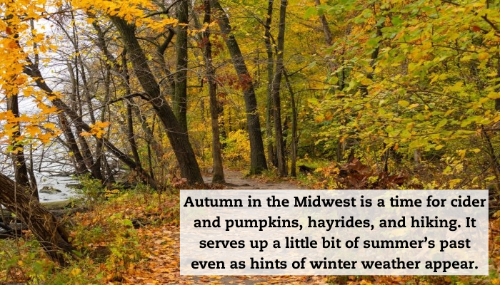 A wooded area in the fall, leaves cover the ground. A quote reads: "Autumn in the Midwest is a time for cider and pumpkins, hayrides, and hiking. It serves up a little bit of summer’s past even as hints of winter weather appear."