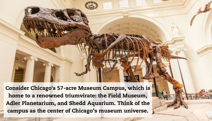 The skeleton of a dinosaur in a museum. A quote reads: "Consider Chicago's 57-acre Museum Campus, which is home to a renowned triumvirate: the Field Museum, Adler Planetarium, and Shedd Aquarium. Think of the campus as the center of Chicago’s museum universe."