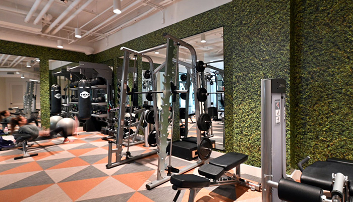 Various weight equipment line the wall that has a mix of mirrors and green ivy wall paper. 