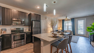 Looking into a residence kitchen with a countertop island in the middle, the kitchen with stainless steel appliances and dark cabinets on the left, and the living room further down on the right.