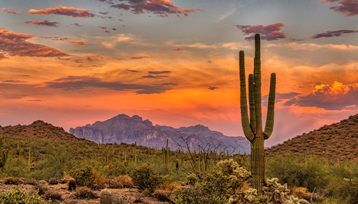 A tall saguaro cactus stands before a mountainous desert landscape at sunset.