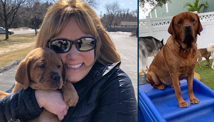 There are two images. The left is a woman smiling holding a puppy up her face. The right is the same puppy years later as full-size dog sitting on steps.