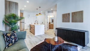 Stylish open-concept living area at Tempo Nine Mile Apartments featuring a modern kitchen island with pendant lighting, wood-accented cabinetry, a cozy green sofa with patterned pillows, a mid-century coffee table, and contemporary wall art in a bright, airy space with light wood flooring.