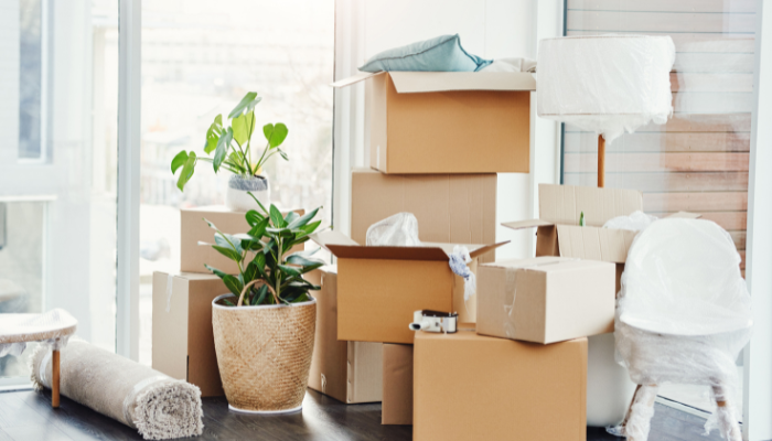 A living room with unpacked cardboard boxes, a rolled-up rug, a potted plant, a lamp, and partially unwrapped furniture.