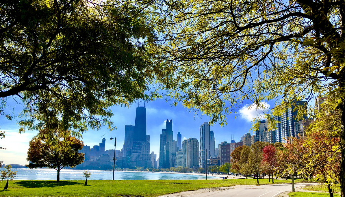 View of the Chicago skyline framed by trees along a lakefront path, with green grass, fall foliage, and the calm waters of Lake Michigan under a bright blue sky.