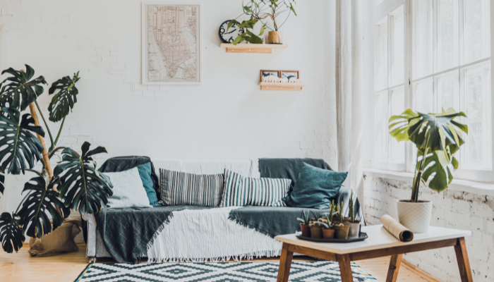A bright living room with large windows and several thriving houseplants, including a monstera and succulents, adding greenery to a cozy modern space.