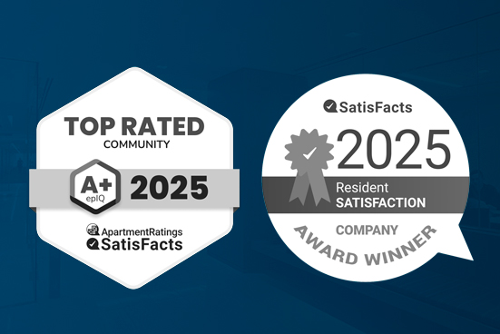 2025 Satisfacts Award Medallions